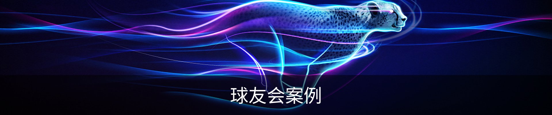 球友会案例